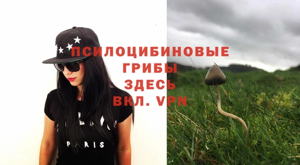 мет Баксан