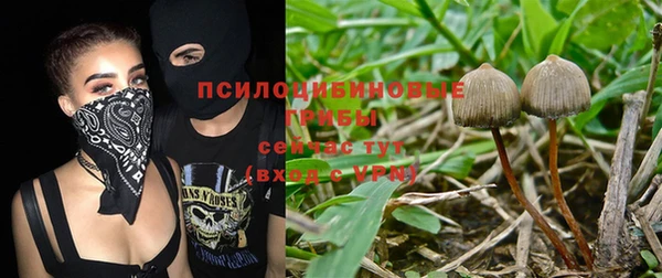стаф Беломорск