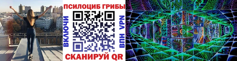 Галлюциногенные грибы Magic Shrooms  blacksprut сайт  Щёкино 
